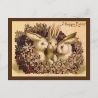 Three Bunnies Vintage Easter Greeting Postcard