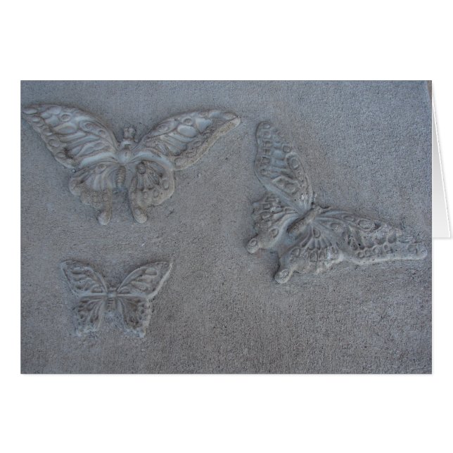 Three Butterflies (Front Horizontal)