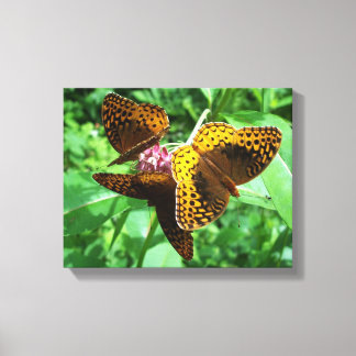 Three Butterflies Canvas Print