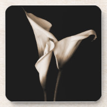 Three Calla Lilies