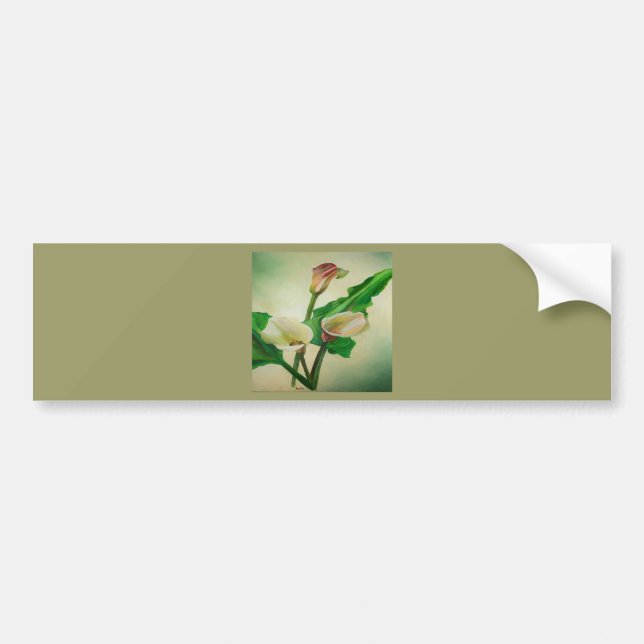 Three Calla Lilies Stunning Botanical Acrylic  Bumper Sticker (Front)