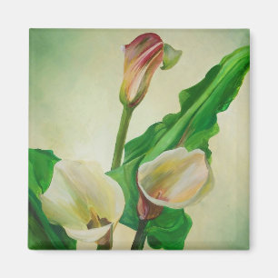 Three Calla Lilies Stunning Botanical Acrylic Magnet