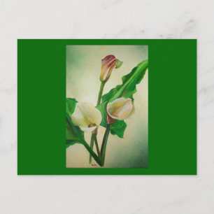 Three Calla Lilies Stunning Botanical Acrylic  Postcard