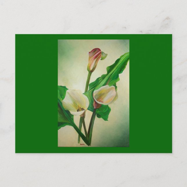 Three Calla Lilies Stunning Botanical Acrylic  Postcard (Front)
