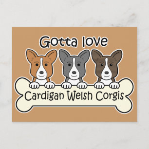 Three Cardigan Welsh Corgis Postcard