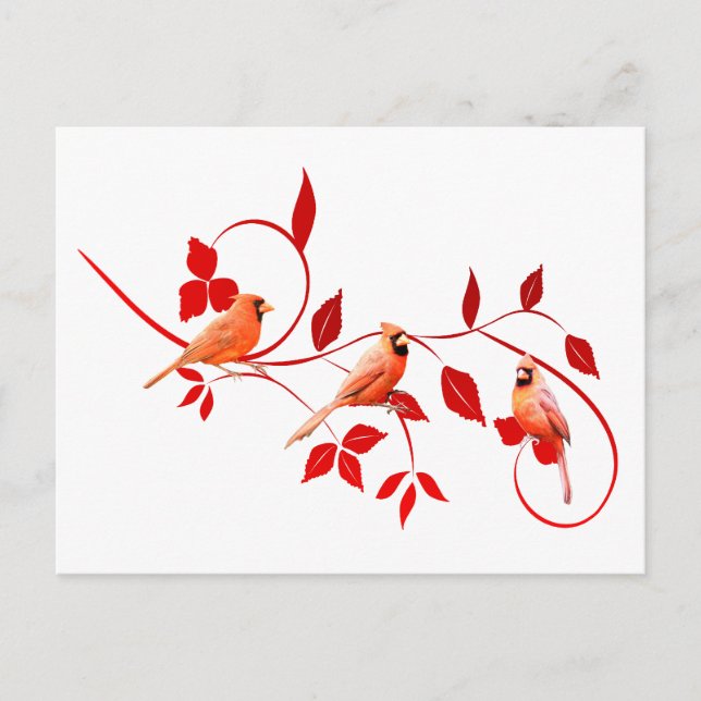Three Cardinals Postcard (Front)