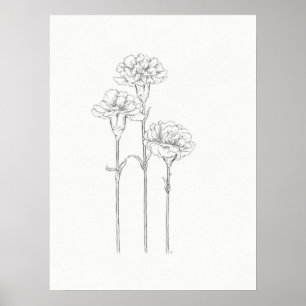 Three Carnations Sketch Art Print