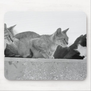 Three cats mouse pad