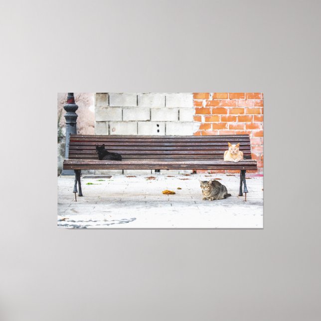 Three Cats on a Bench Canvas Print (Front)
