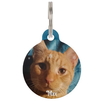 Three Cats Photos, Personalized Christmas Pet Tag