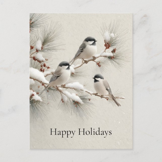 Three Chickadees on a Snow-Dusted Pine Branch Postcard (Front)