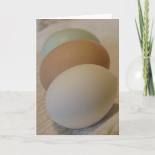 Three Chicken Eggs Card