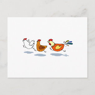 Three Chicks Postcard