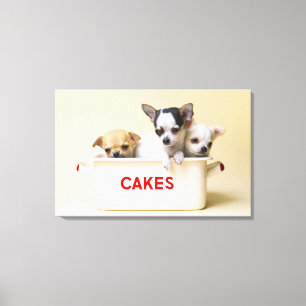 Three chihuahua puppies in cake tin canvas print