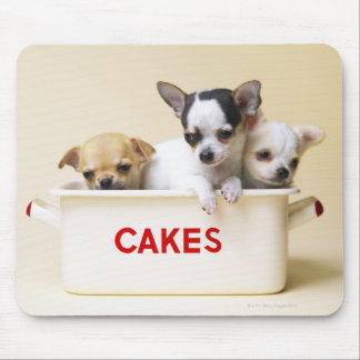 Three chihuahua puppies in cake tin mouse pad
