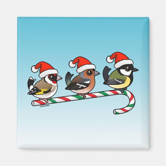 Three Christmas Finches (EU) Magnet (Front)