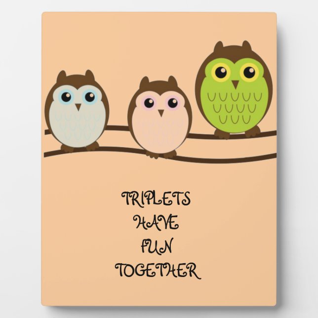 Three Colourful Owls Plaque (Front)