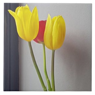 Three colourful tulips ceramic tile