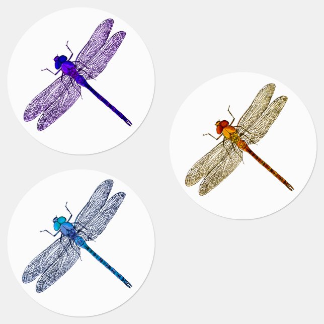 Three Colours Dragonfly Stickers (Group)
