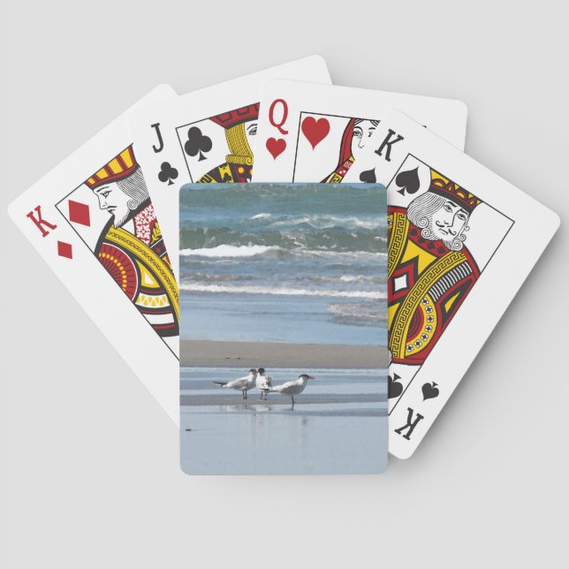 Three Common Terns on a Sandy Beach Playing Cards (Back)