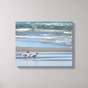 Three Common Terns Watercolor Wrapped Canvas