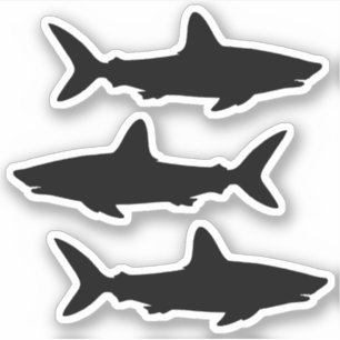 Three Count Black Swimming Shark Silhouette