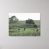 Three Cows in a Field Photography Wall Art