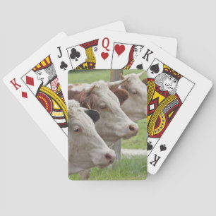 Three Cows in a Row Playing Cards