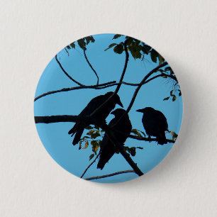 Three Crows In a Tree 2 Inch Round Button
