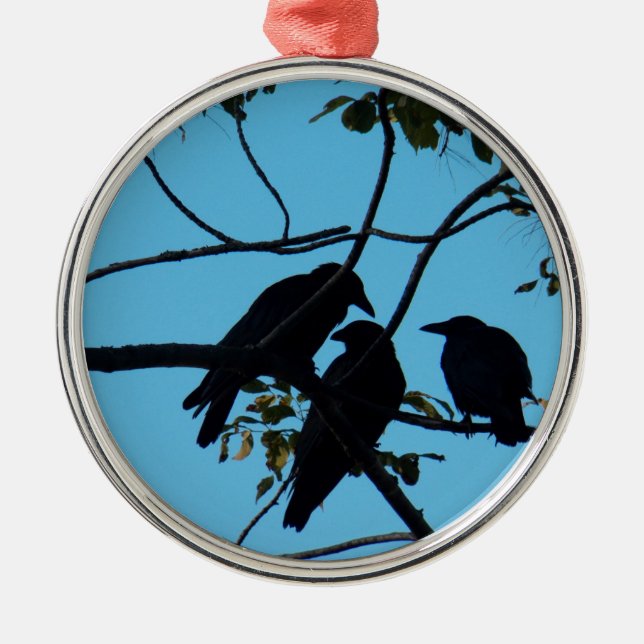 Three Crows In a Tree Metal Ornament (Front)