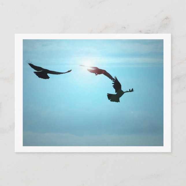 Three Crows Postcard (Front)