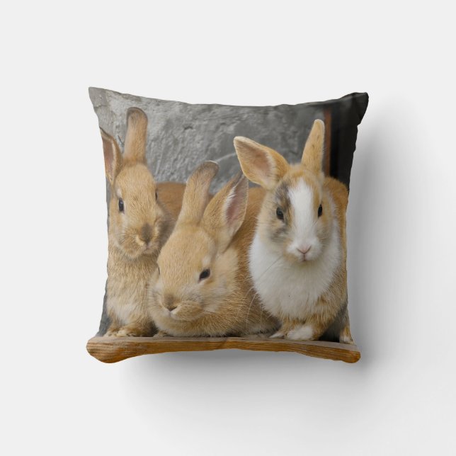 Three Cute Baby Bunny Rabbits Throw Pillow (Front)