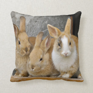 Three Cute Baby Bunny Rabbits Throw Pillow