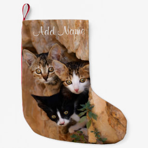 Three Cute Curious Cat Kittens Faces Funny Photo - Small Christmas Stocking