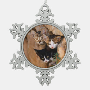 Three Cute Curious Cat Kittens Faces Funny Photo - Snowflake Pewter Christmas Ornament