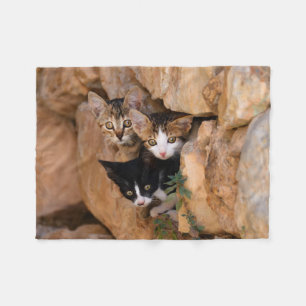 Three cute curious kittens fleece blanket