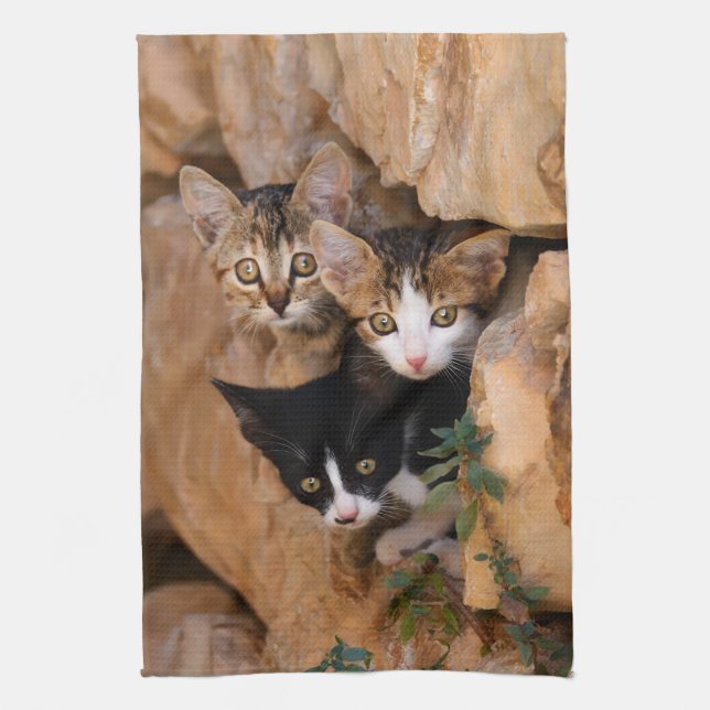 Three cute curious kittens kitchen towel (Vertical)