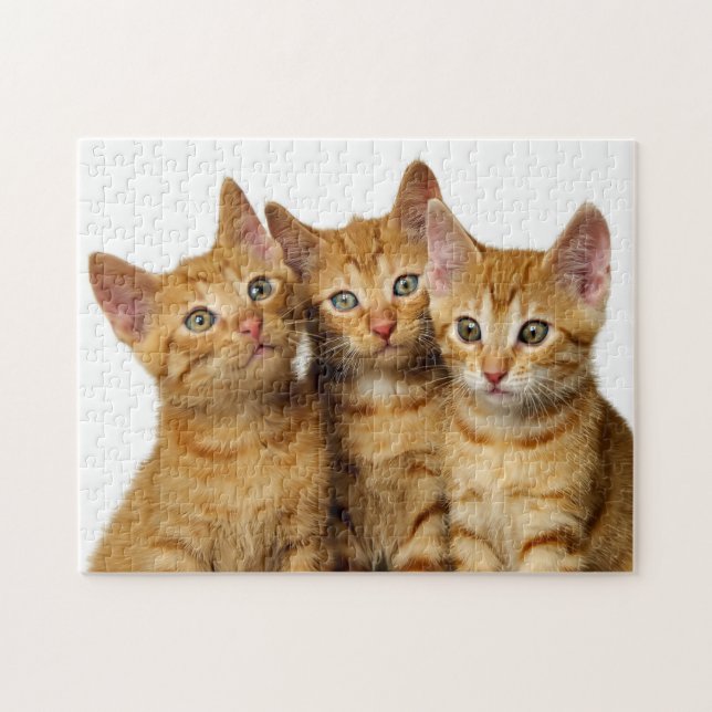 Three Cute Ginger Cat Kittens Friends Head Photo - Jigsaw Puzzle (Horizontal)