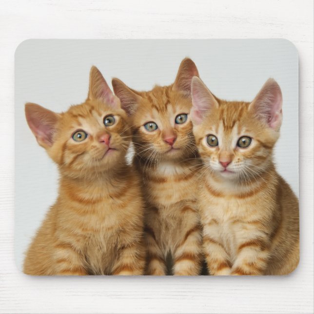 Three cute ginger kittens side by side mouse pad (Front)