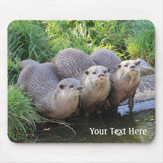Three Cute Otters Wildlife Photography Mouse Pad (Front)