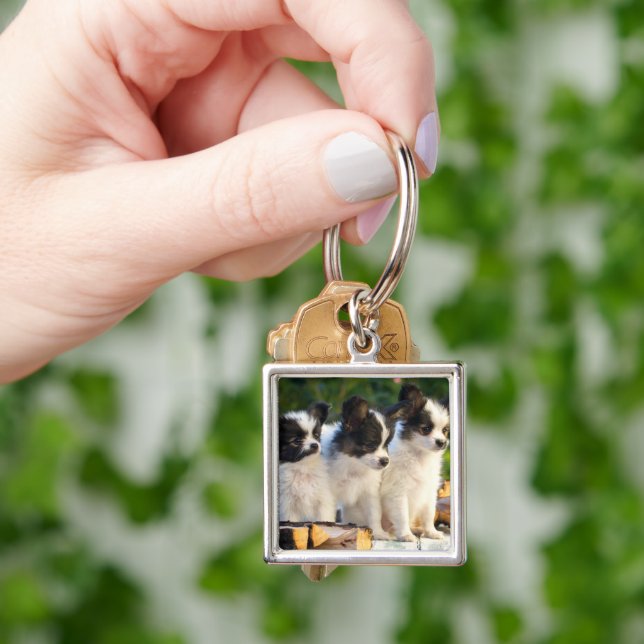 Three Cute Papillon Puppies on a Garden Bench  Keychain (Hand)
