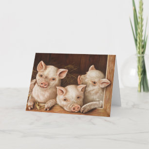 Three cute piglets from The Prize Piggies Card