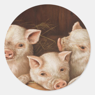 Three cute piglets from The Prize Piggies Classic Round Sticker