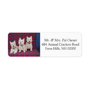 Three Cute Puppies Return Address Mail Stickers