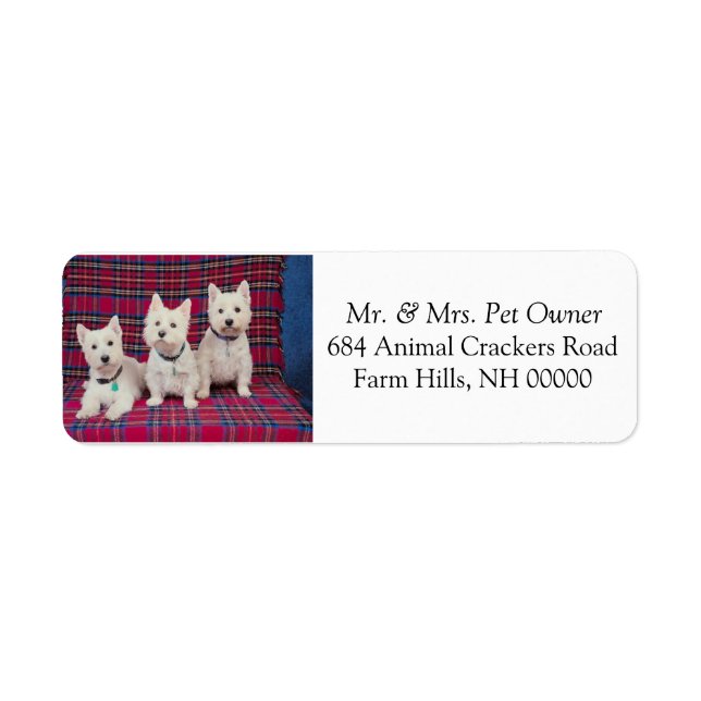 Three Cute Puppies Return Address Mail Stickers (Front)