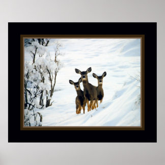 Three Deer Poster