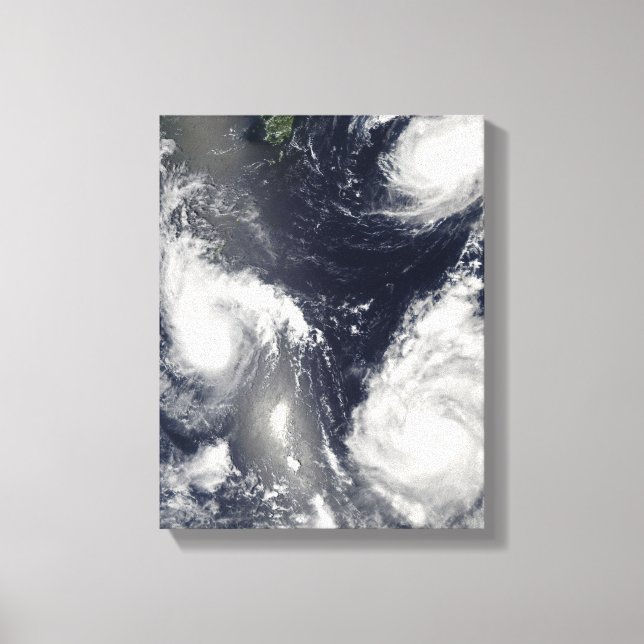 Three different typhoons canvas print (Front)