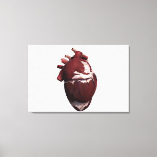 Three Dimensional View Of Human Heart, Left Side Canvas Print