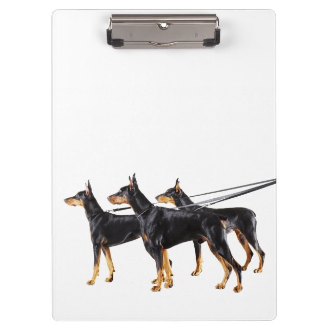 Three Dobermans on leash Clipboard (Front)