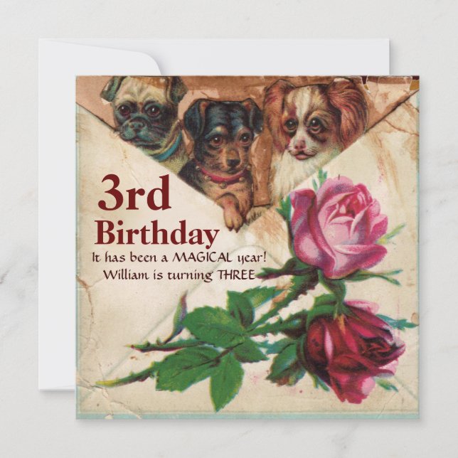 THREE DOGGIES WITH ROSES,Third Birthday Parchment Invitation (Front)